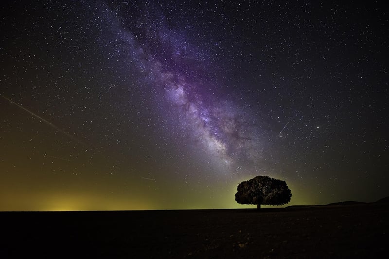 Extraterrestrial Life